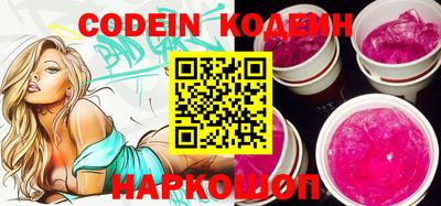индика Можга