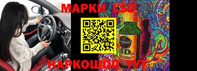 индика Можга