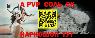 индика Можга
