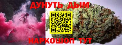 индика Можга