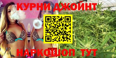 индика Можга
