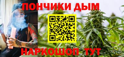 индика Можга