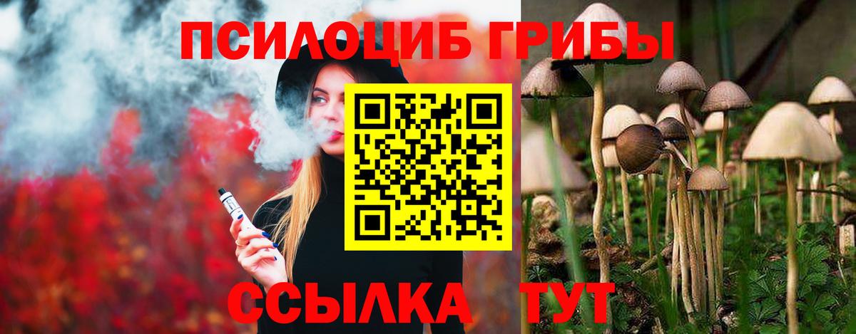 магазин продажи   Галлюциногенные грибы GOLDEN TEACHER  Тверь  Вход с VPN  Галлюциногенные грибы Cubensis 